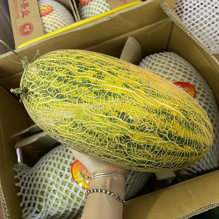 新疆八六王哈密瓜 2个共约重11斤