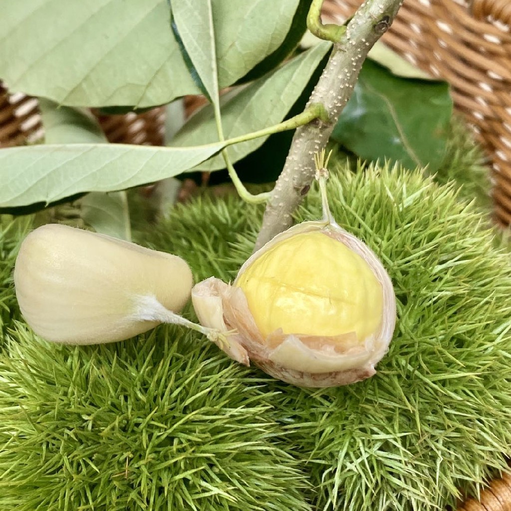 云南高原新鲜毛球嫩板栗5斤装原生态带绿壳