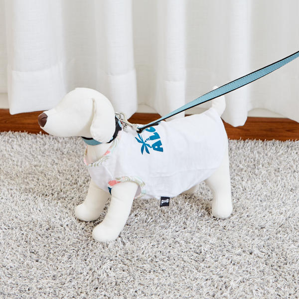 佩特博恩 Petborn 狗狗蓝色项圈 130cm Dog collarJPY带授权招加盟代理