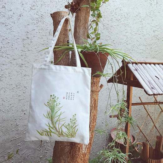 《植物的温柔与力量》礼盒 | 图文声结合，一起坠入植物的奇妙世界 商品图3