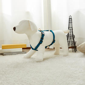 佩特博恩Petborn狗狗牵引绳Dog leash深绿色 1903201875~6JPY带授权招加盟代理