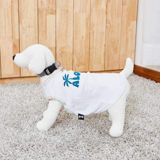 佩特博恩 Petborn 狗狗银色项圈 M Dog collarJPY带授权招加盟代理 商品图3