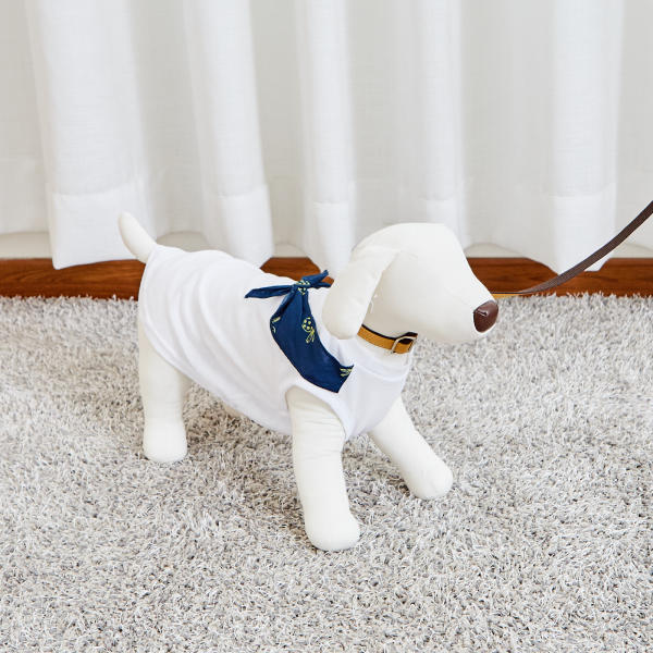 佩特博恩Petborn狗狗黄色项圈Dog collar L 1805748924JPY带授权招加盟代理