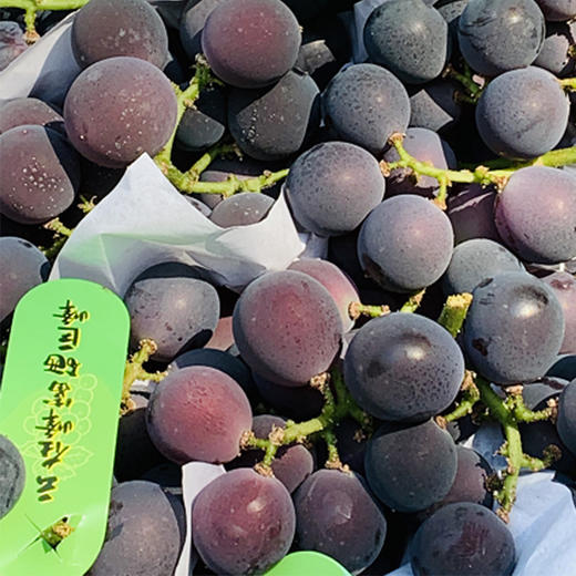 精品甜蜜巨峰葡萄  |  🌹雾蒙蒙的果粉，仙气十足，大小均匀，颗颗绛紫，果皮分离，细滑幼甜，甜滋滋的有味道～巨峰葡萄😍😍🍇 商品图0