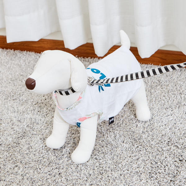 佩特博恩 Petborn 狗狗项圈Dog collar条纹黑色 M 1805748897JPY带授权招加盟代理