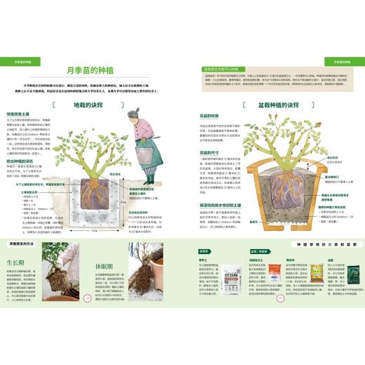 月季新手百科 后藤绿著 养花 日本玫瑰 新手养花 园艺 植物艺术 新手入门 图文展示 中信 日本玫瑰世家传人30年月季栽培经验 商品图3