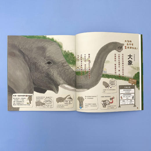 【点读版】一起去逛动物园水族馆：不可不知的动物园（单册） 商品图1