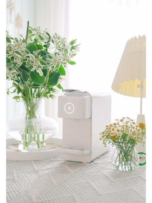 【周四团购】叶上花一把39.8元 2人拼团 商品图3