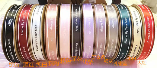 云南省内满299元包邮，省外运费到付--B级8分100码字母织带（带边） 商品图0