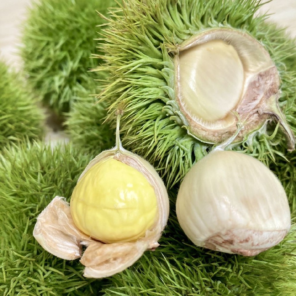 云南高原新鲜毛球嫩板栗5斤装原生态带绿壳