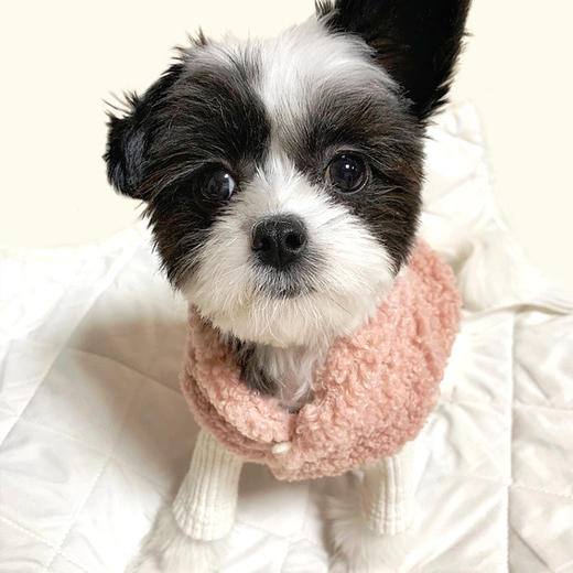 佩特博恩Petborn宠物狗背心粉红色S clothes for pets 1811147724JPY带授权招加盟代理 商品图1