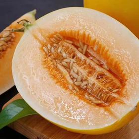 【4.5斤 约2-4个】陕西 金红翠蜜瓜 现摘现发4.5斤/8.5斤