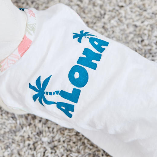 佩特博恩 Petborn 宠物狗无袖S码 clothes for pets 1805749113JPY带授权招加盟代理 商品图1