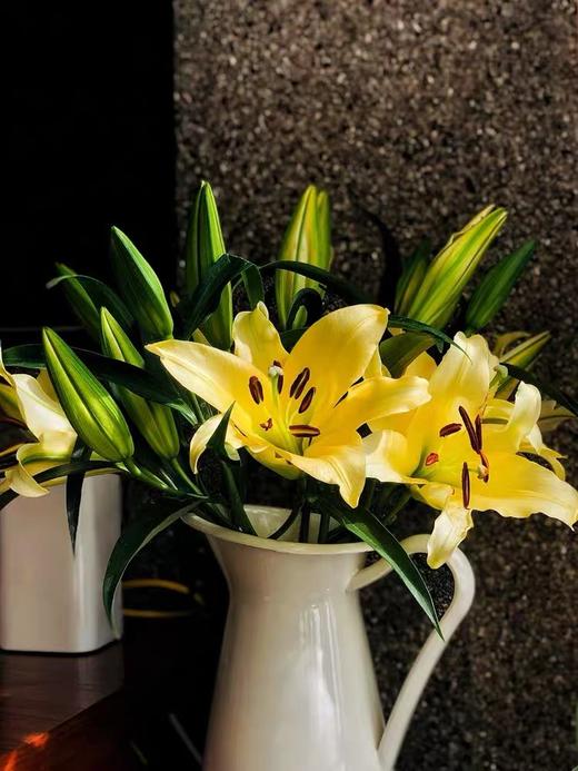 金砖百合稀有1215朵份买2份减20元花瓣厚实开放起来特别美本次销售为