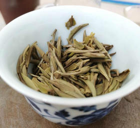 [第73期]方守龙2020年太姥山白毫银针