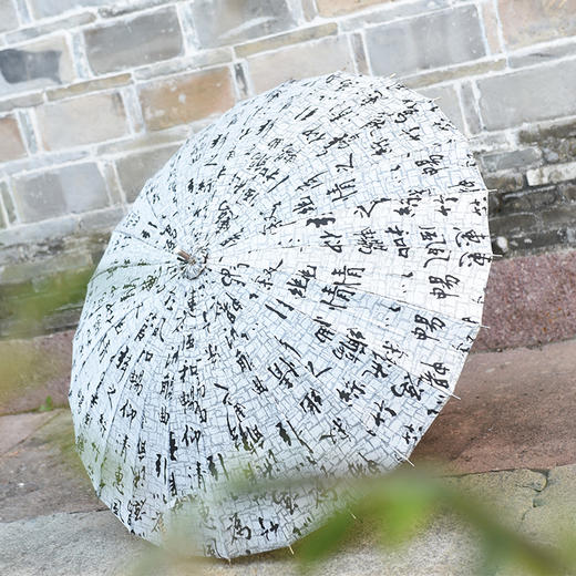 天一书局中国风雨伞轻巧便携原创设计创意兰亭序太阳伞 商品图2