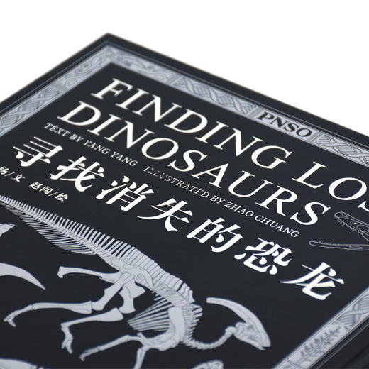 寻找消失的恐龙 商品图8