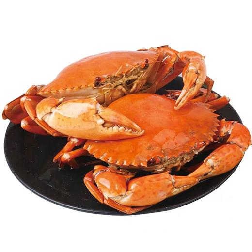 三门青蟹净重3斤 商品图0