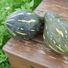 生态香芋南瓜 | 绿家自产*ecological pumpkin | Self-production 商品缩略图1