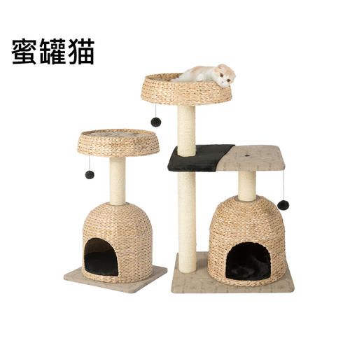 【幸运土猫】蜜罐猫蒲草剑麻编织猫窝猫爬架树窝玩睡不误包邮 商品图1