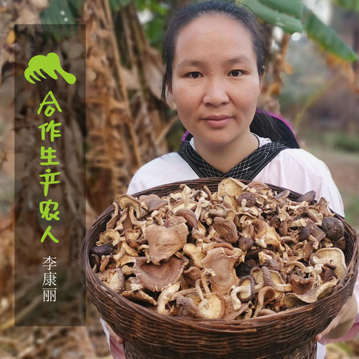 野生香菇干 | 合作生产* Dried wild mushroom | Coproduction 商品图3