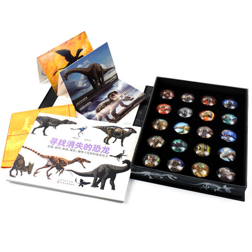 寻找消失的恐龙 商品图3