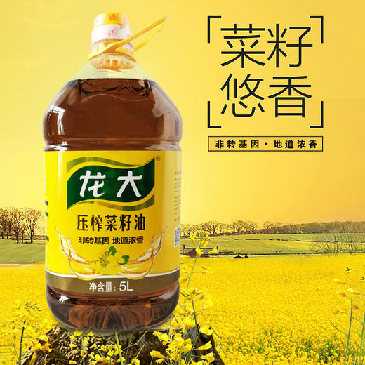 龙大 食用油 非转基因 压榨菜籽油 5l