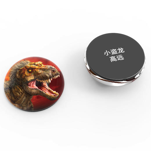 寻找消失的恐龙 商品图7