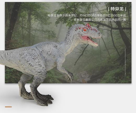 新凯纳儿童仿真大号软胶霸王龙三角龙恐龙模型男孩玩具动物礼物 商品图3