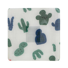 BUTTER Cactus mini acrylic tray  仙人掌迷你亚克力托盘14x14cmJPY带授权招加盟代理