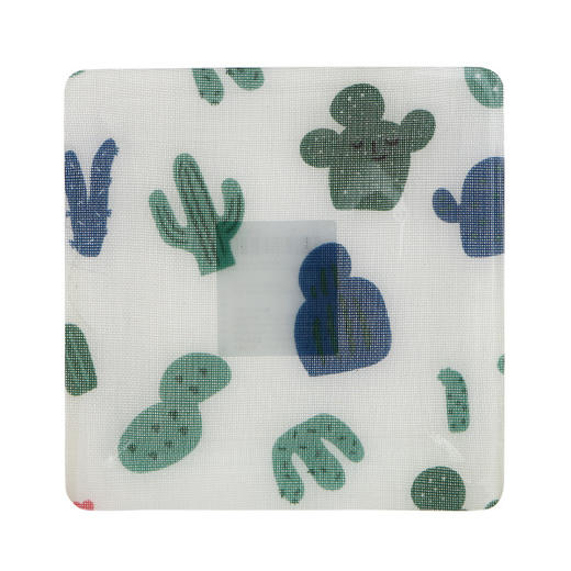 BUTTER Cactus mini acrylic tray  仙人掌迷你亚克力托盘14x14cmJPY带授权招加盟代理 商品图0