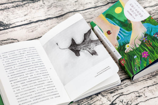 把整个世界留给黄昏与我 | 梭罗《瓦尔登湖》精选集 商品图3