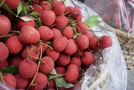 来自福建莆田陈紫老树荔枝