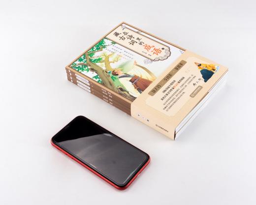 藏在古诗词里的成语（全4册）80首古诗词 曹文学推荐 zhu名儿童文学作品 商品图5