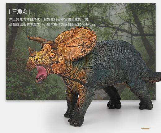 新凯纳儿童仿真大号软胶霸王龙三角龙恐龙模型男孩玩具动物礼物 商品图5