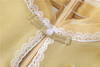 FNZD20111新款中国风优雅气质立领盘扣如意纱刺绣连衣裙TZF 商品缩略图3