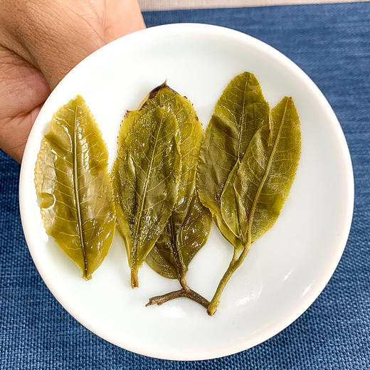 【2020昔归古树】昔归忙麓山核心产区挑采 商品图4