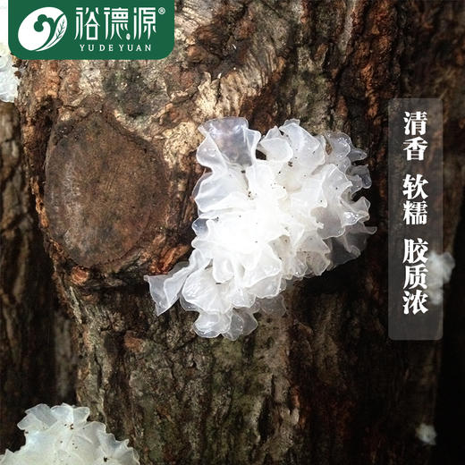 (合伙人)裕德源通江银耳传统段木栽培有机通江银耳25g家庭装5人份 商品图6
