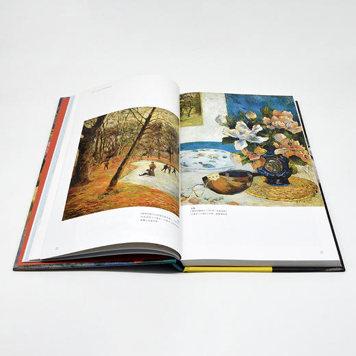 高更：后印象派巨匠的艺术人生 商品图6