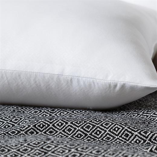 驿之家 | 磨毛舒适枕头 柔软舒适 不易变形（单个装） 商品图3