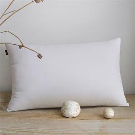 驿之家 | 磨毛舒适枕头 柔软舒适 不易变形（单个装）