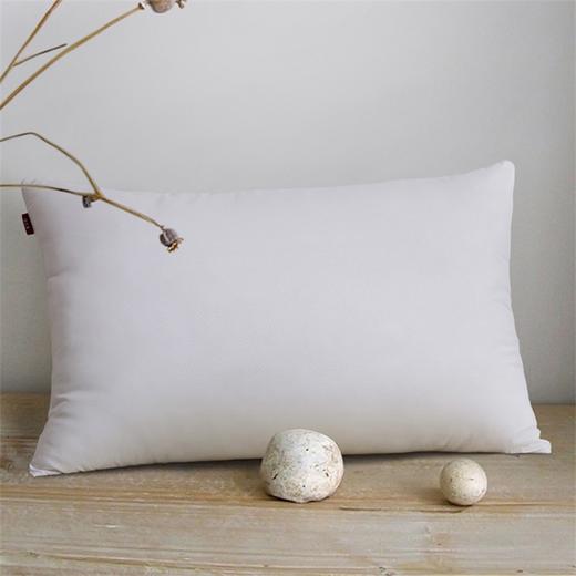 驿之家 | 磨毛舒适枕头 柔软舒适 不易变形（单个装） 商品图0