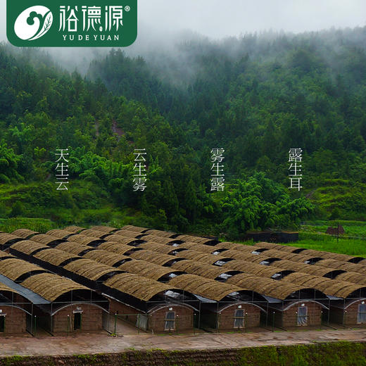 (合伙人)裕德源通江银耳传统段木栽培有机通江银耳25g家庭装5人份 商品图5