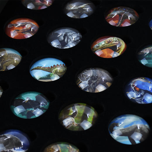 寻找消失的恐龙 商品图5