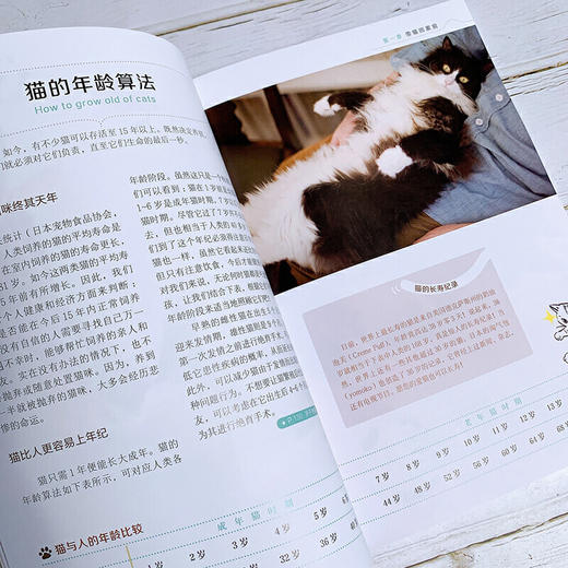 猫科专家教你养猫 新猫养护指南 新手养猫手册 商品图4