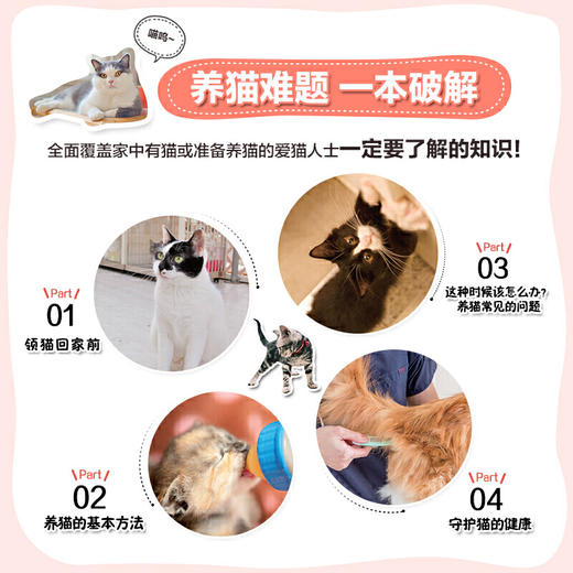 猫科专家教你养猫 新猫养护指南 新手养猫手册 商品图2