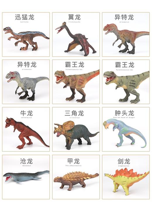 新凯纳儿童仿真大号软胶霸王龙三角龙恐龙模型男孩玩具动物礼物 商品图2