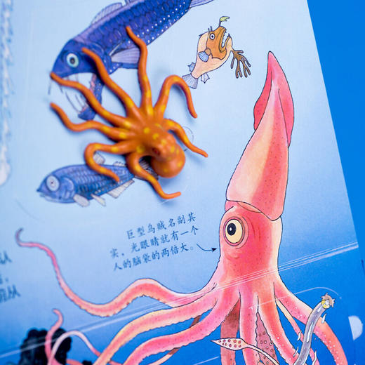 尤斯伯恩揭秘系列：海洋篇（5-8岁） 商品图2