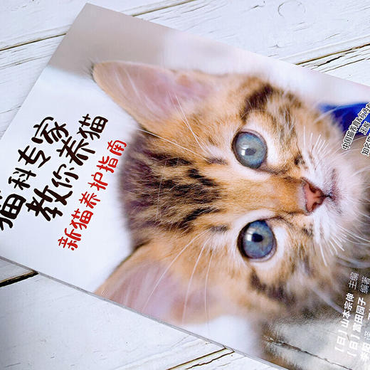 猫科专家教你养猫 新猫养护指南 新手养猫手册 商品图1