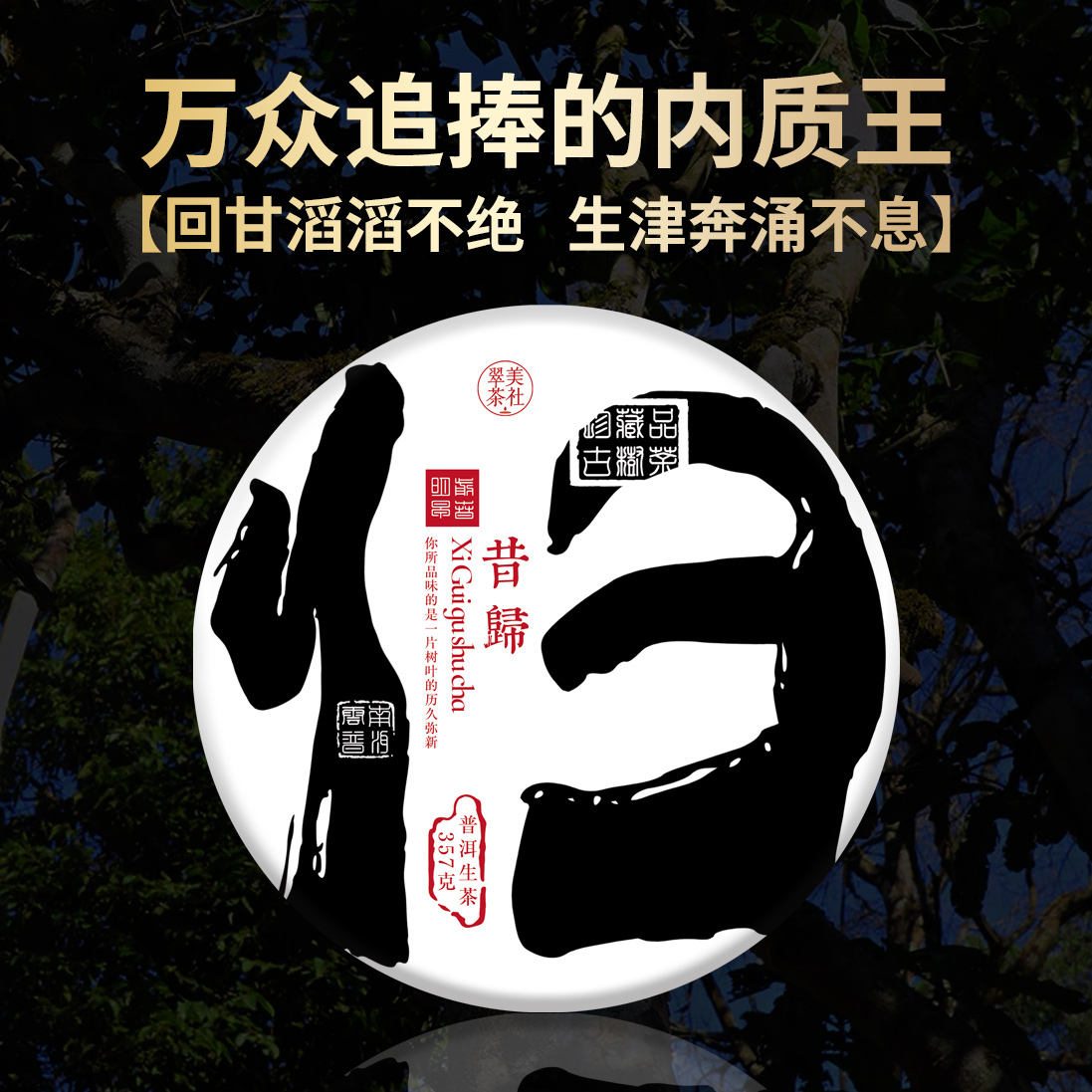 【2020昔归古树】昔归忙麓山核心产区挑采